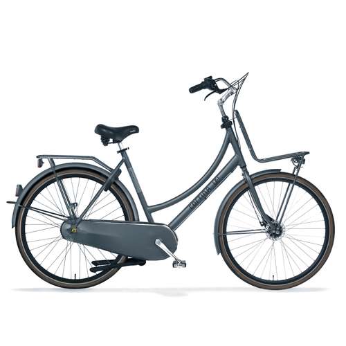 U4 Transport Family Dames Irestone Pearl Matt