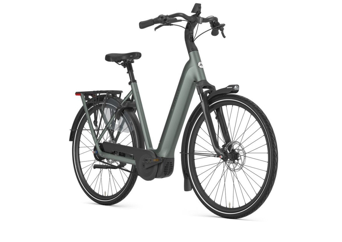 Grenoble C5+ First Edition DAMES Twilight Green Mat